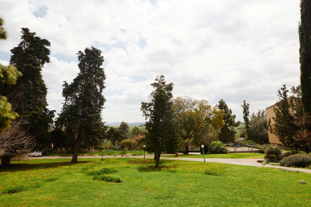 זהר בדשא - חוץ